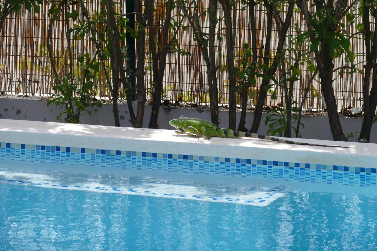 Villa De Mango Fontein Zewnętrze zdjęcie