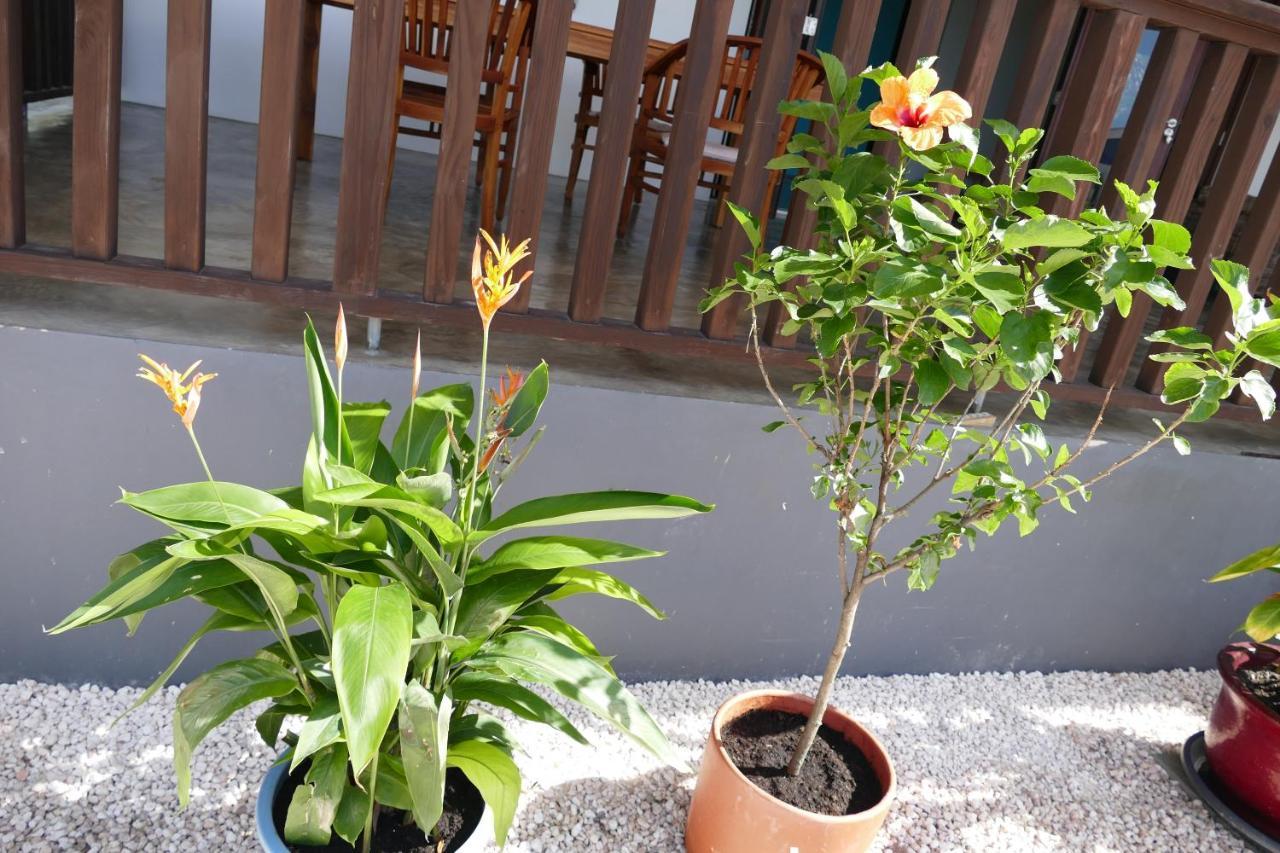 Villa De Mango Fontein Zewnętrze zdjęcie