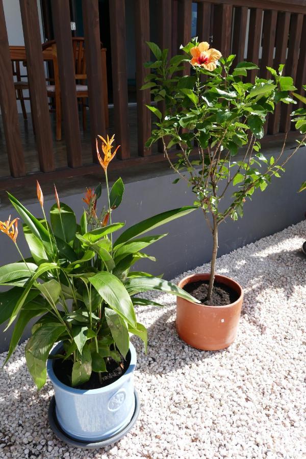 Villa De Mango Fontein Zewnętrze zdjęcie